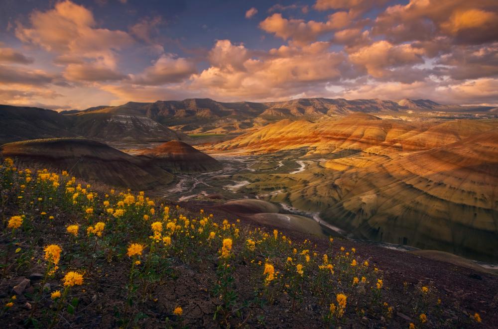 View of a valley from above, Oregon