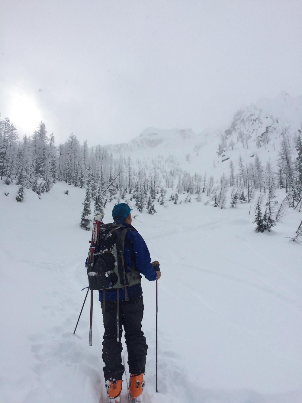 A cross country skier watches a mountain in the distance.