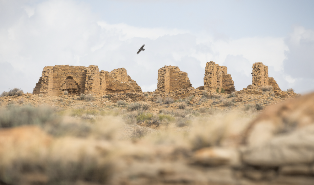 Chaco Culture National Historic Park landscape with bird