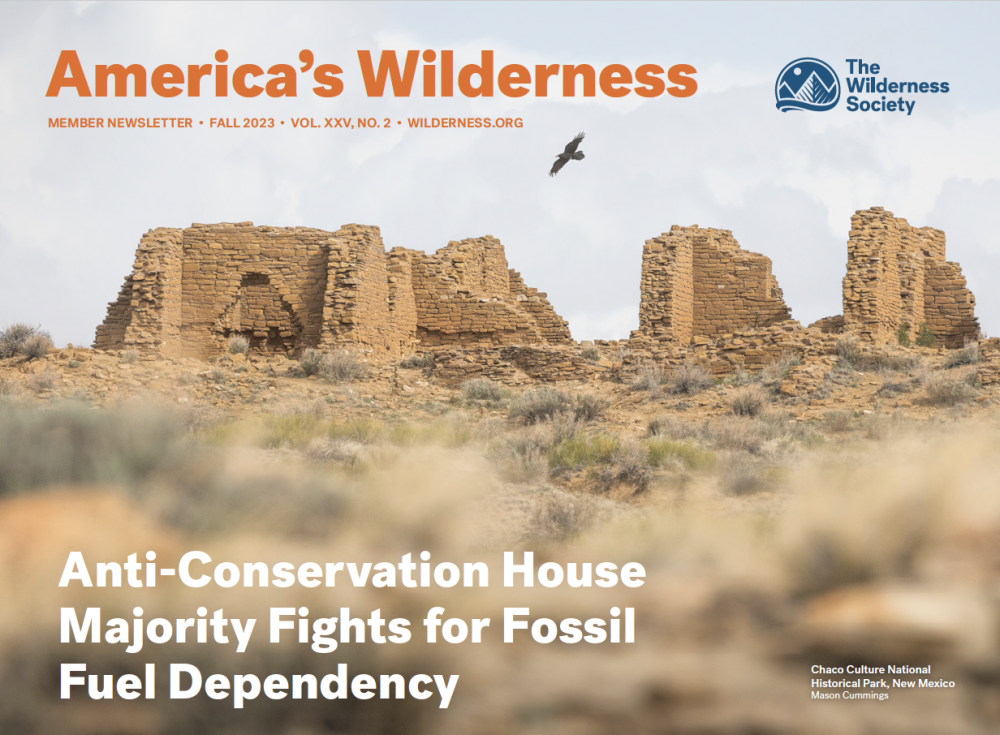 screenshot of greater chaco with title that says America's wilderness