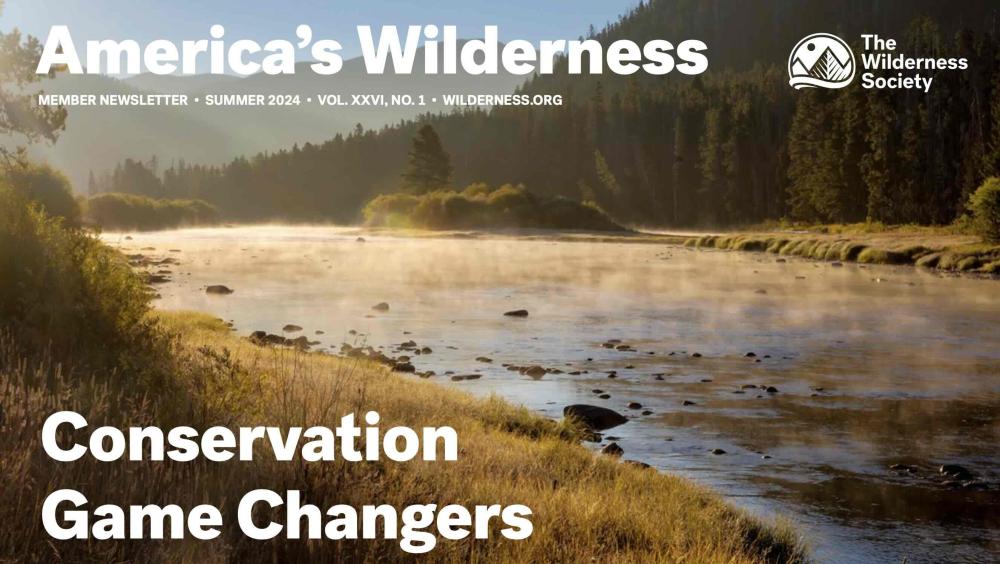 Summer 2024 Newsletter Cover