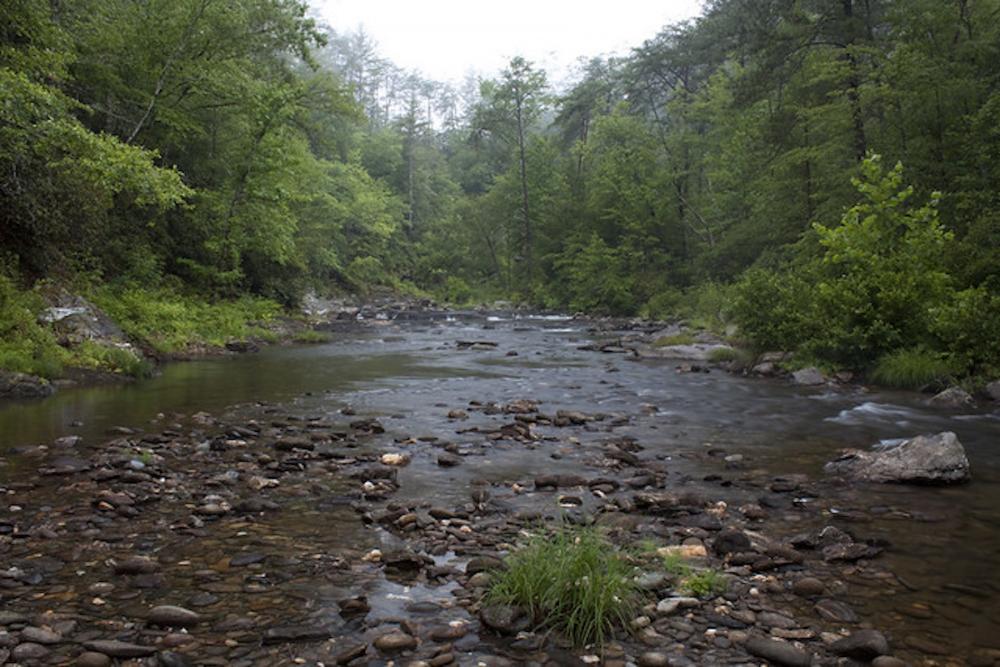 Cohutta River, Georgia