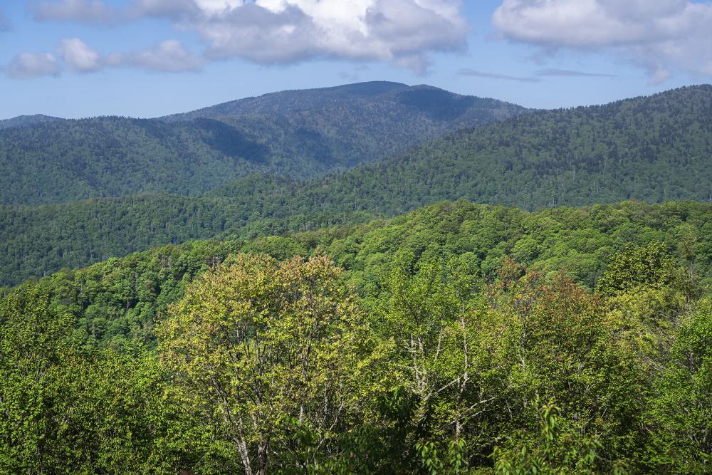 view of mountains during summer, with green