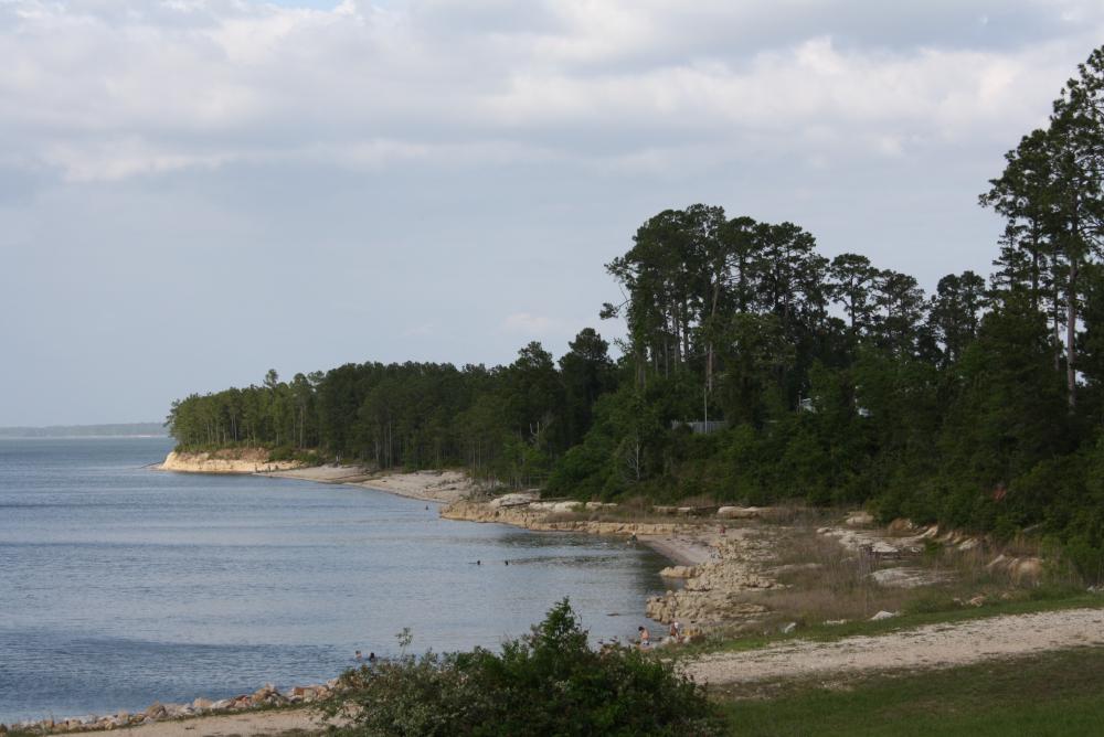 Angelina National Forest, near the Sam Rayburn Reservoir, Texas Angelina National Forest, near the Sam Rayburn Reservoir, Texas