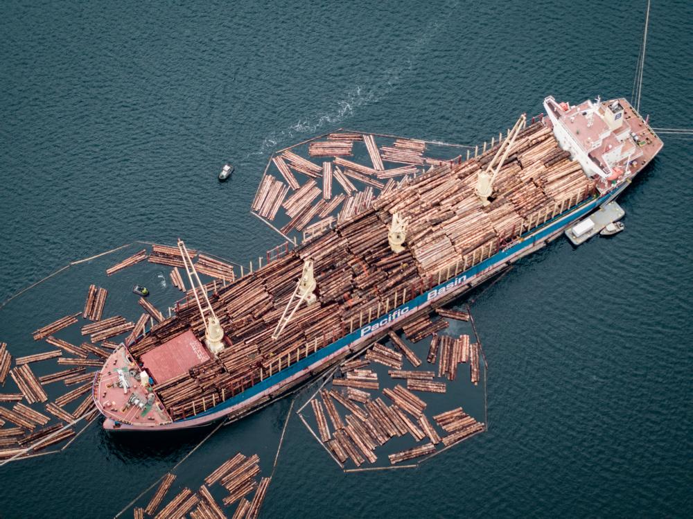 Aerial view of large ship loaded with brown, stripped logs
