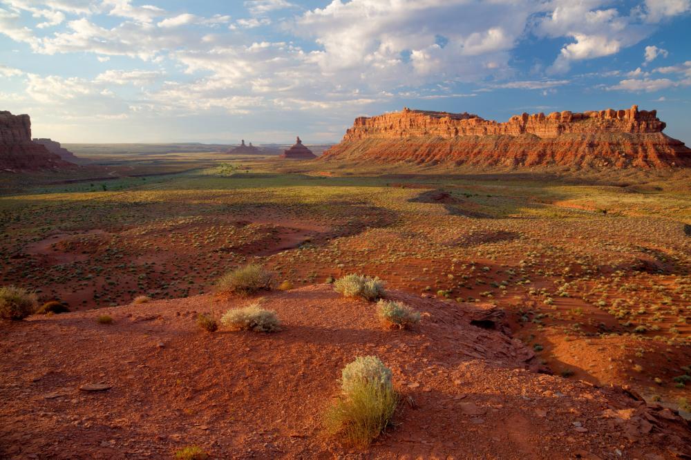 A vast desert scene in Bears Ears National Monument, Utah.