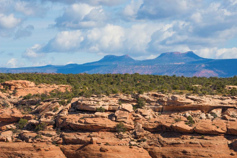 Bears Ears National Monument, Utah