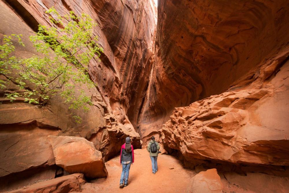 Hikers in a slot canyon at Grand Staircase-Escalante