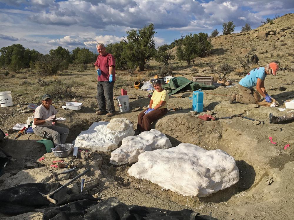 Group of people standing and sitting near large white "jacketed" fossils in a desert landscape