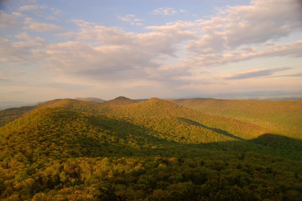 George Washington National Forest, VA