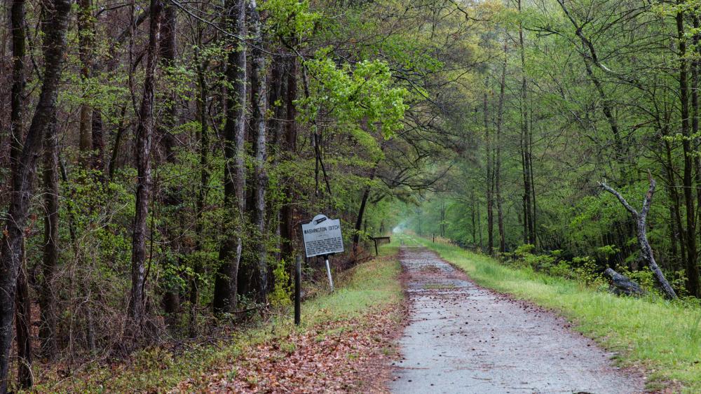 Sign reading "Washington Ditch" in the ground near a stand of green trees next to a dirt road in the Great Dismal Swamp, Virginia