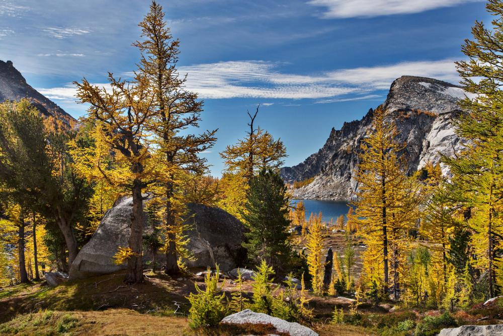 Evergreens and blue skies in the Alpine Lakes Wilderness, Washington