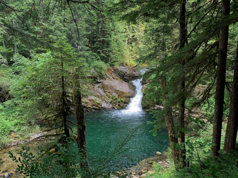 Waterfall and clear blue pool visible between evergreen trees