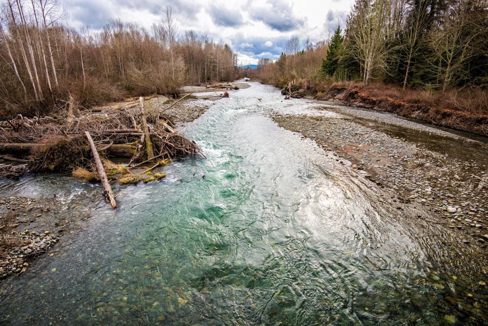 River stretching from foreground into the distance between partially denuded patches of forest