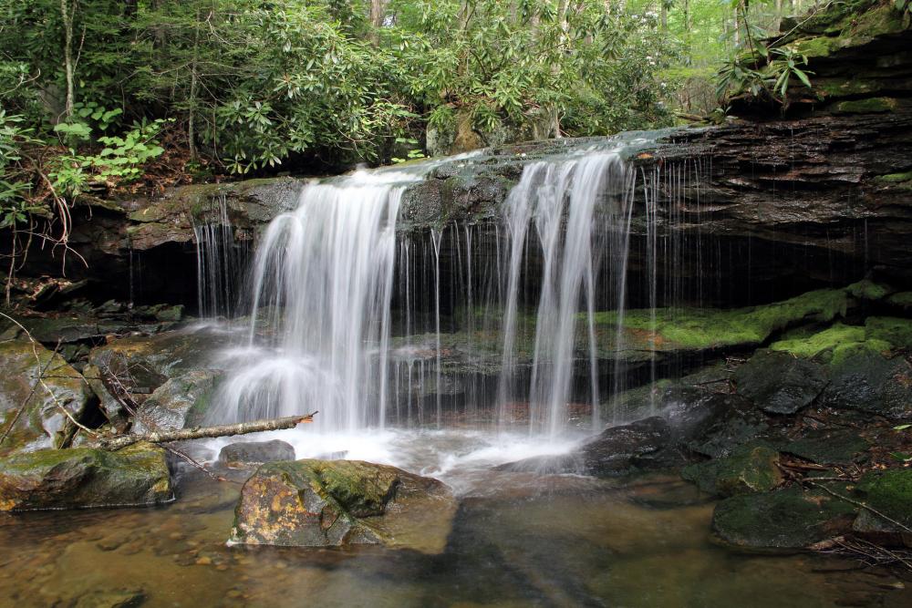 Waterfall in Cranberry Wilderness, West Virginia Waterfall in Cranberry Wilderness, West Virginia