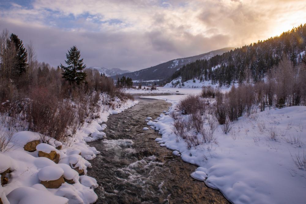 River running along snowy banks with evergreen trees visible on either side, under cloudy skies