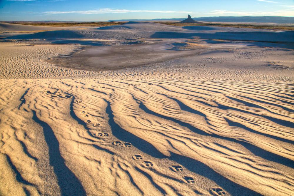 Kilpecker Sand Dunes, Wyoming.