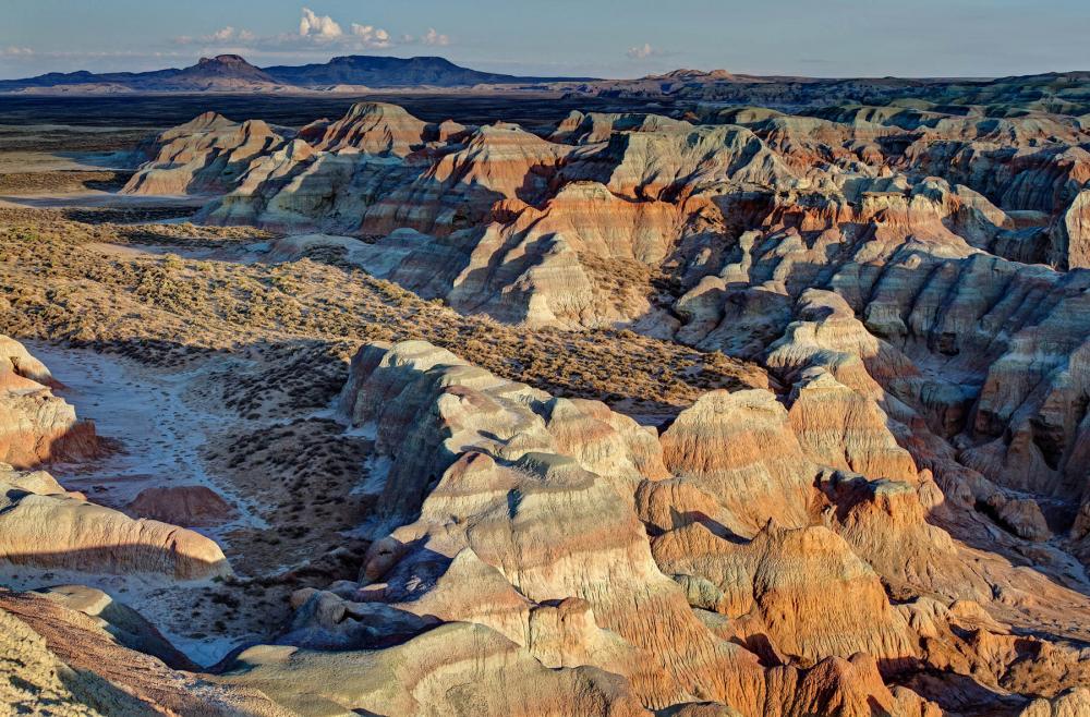 Northern Red Desert, Wyoming.