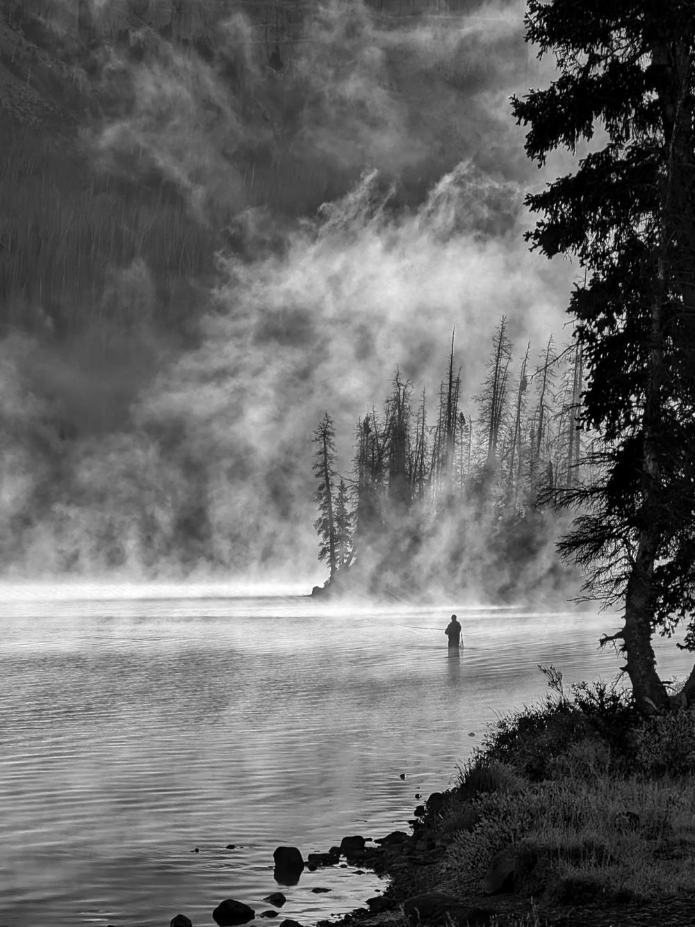 A man fishing in a lake surrounded by pines