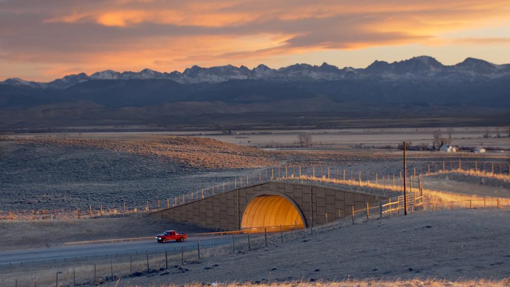 Red pickup truck driving under overpass with mountains in the background