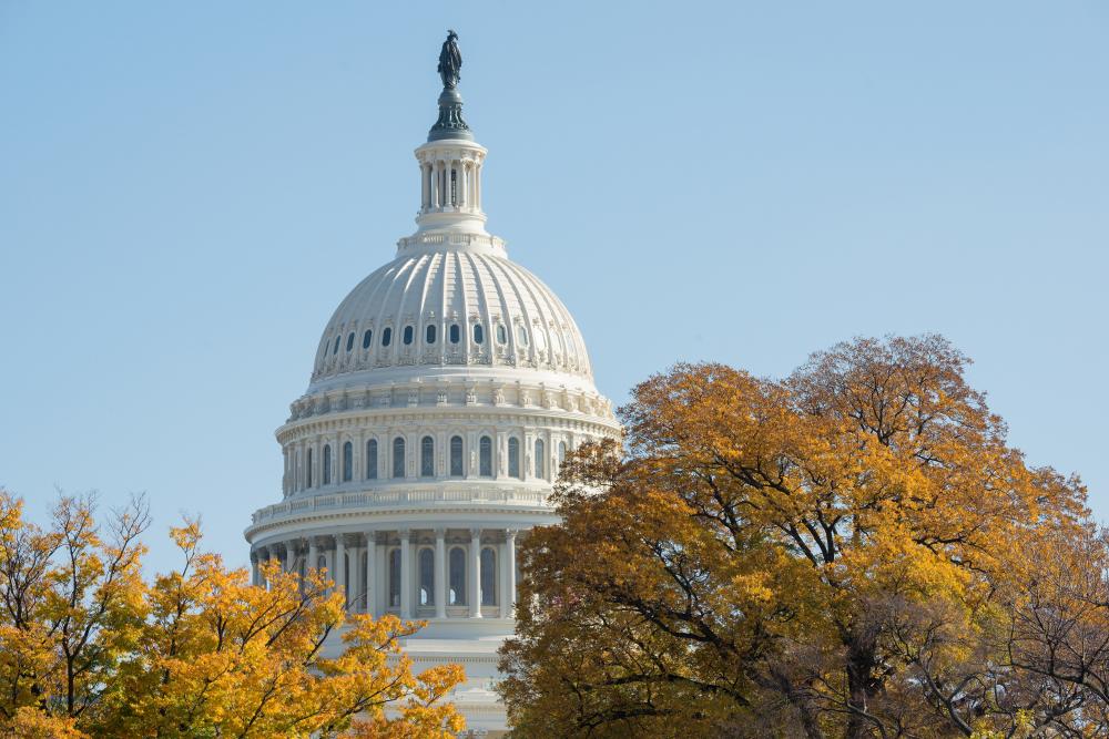 U.S. Capitol Dome in Washington, DC