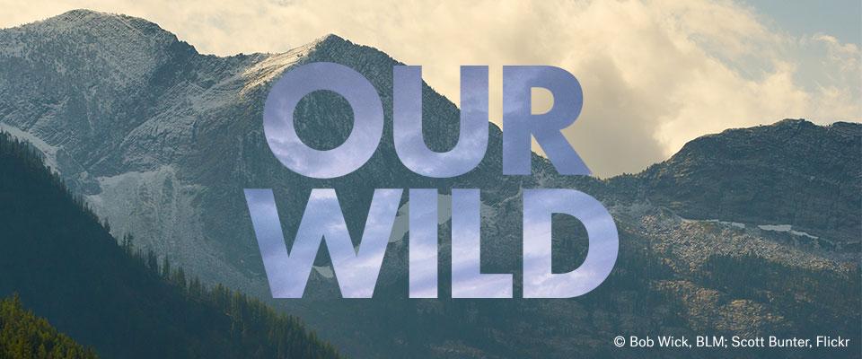 Our Wild Montana graphic