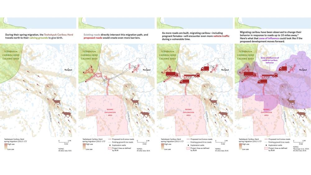 four maps showing the migration of caribou in the arctic 