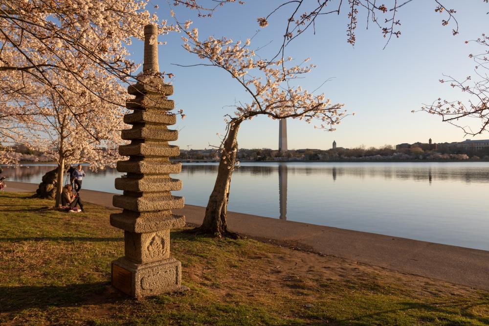 A stone statue next to a pool of water glows orange surrounded by flowering trees.