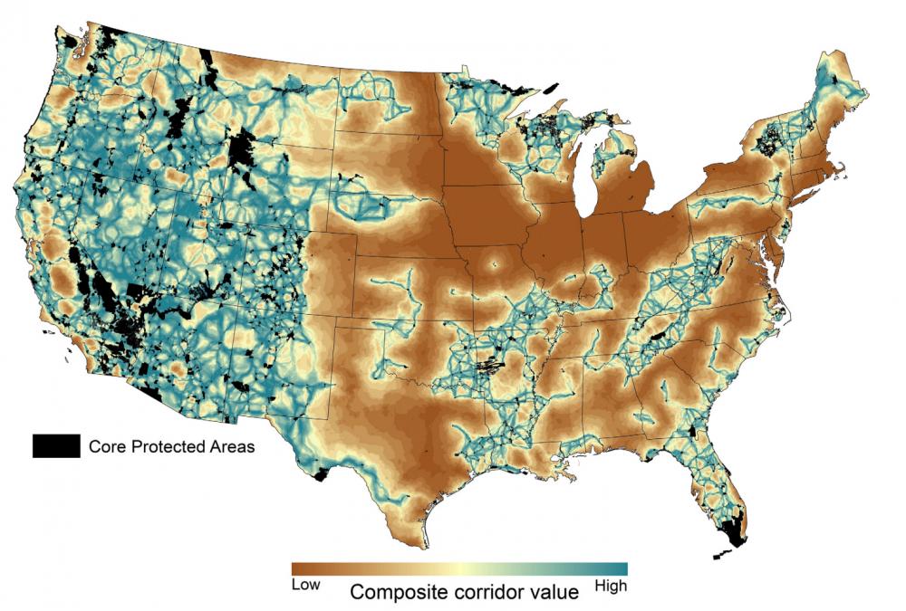 Map of contiguous U.S. showing "composite corridor value" on colored scale from low to high