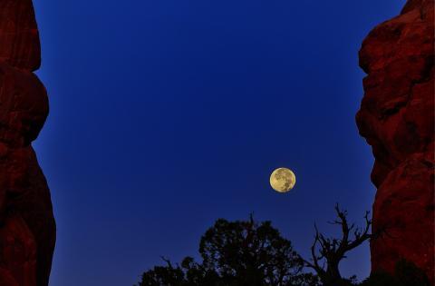 Full moon at Arches National Park