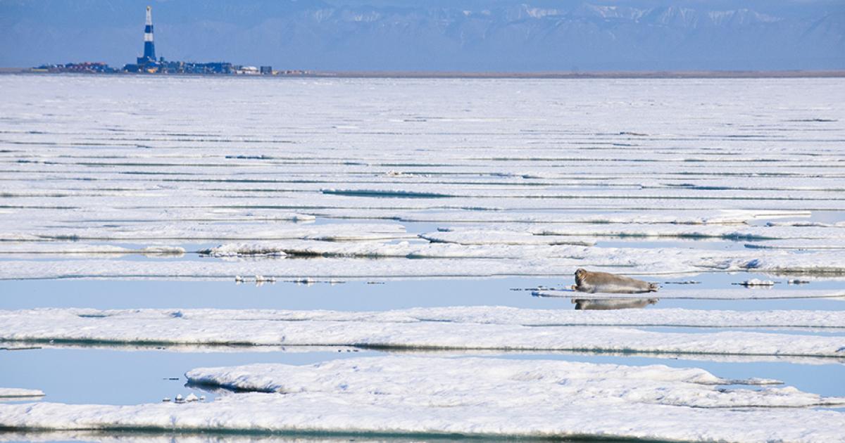 7 ugly facts about Prudhoe Bay, Alaska The Wilderness Society
