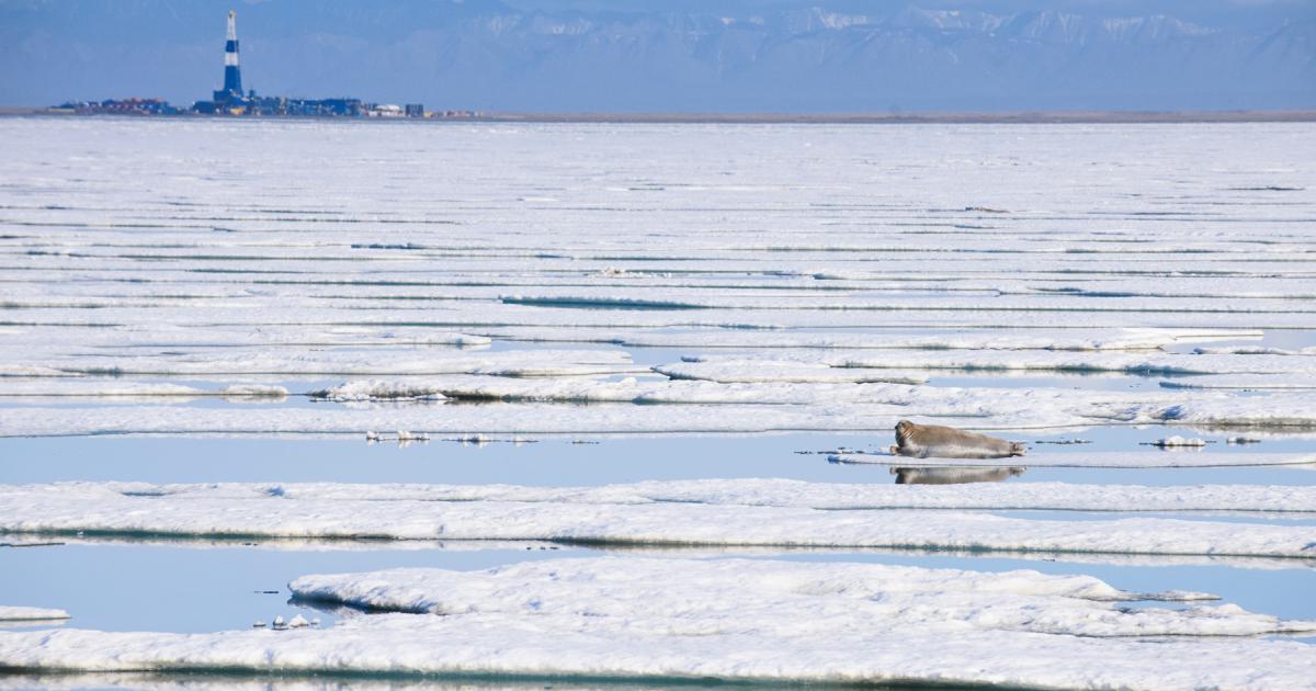 Arctic warming is even worse than we thought, climate scientists say