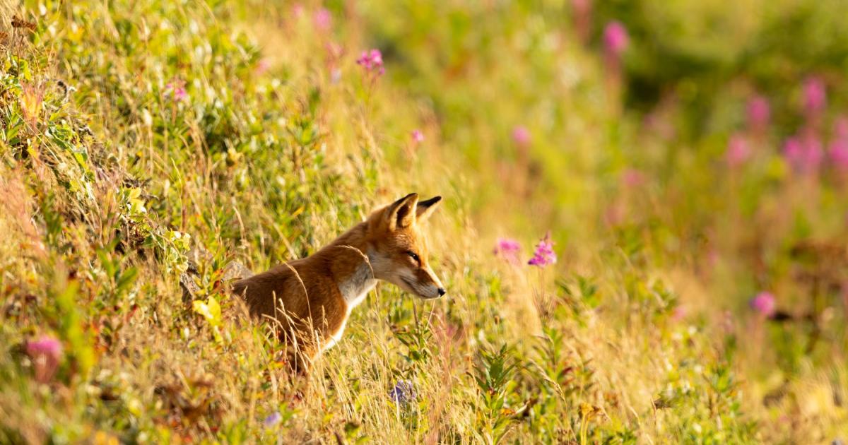 www.wilderness.org