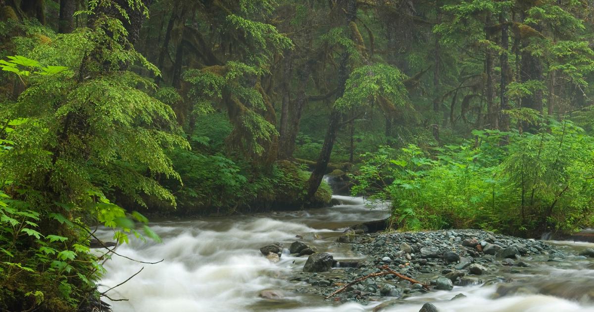 Conserving Roadless Areas The Wilderness Society