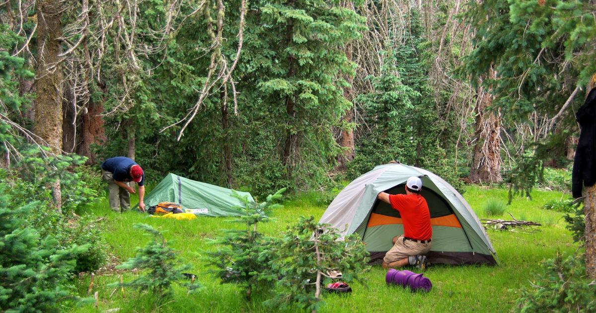 Парки с ночевкой. Кемпинг в лесу с палатками. Глэмпинг шалаш. Палатка bivouac 2. Палатка в лесу.