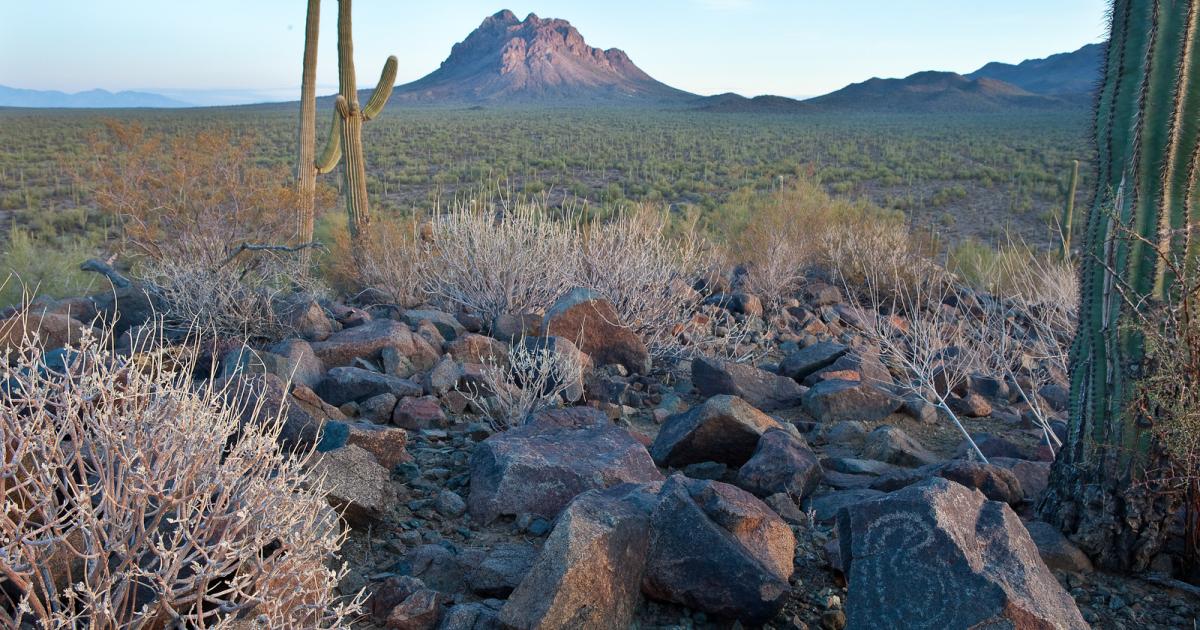 America’s most important conservation law turns 120
