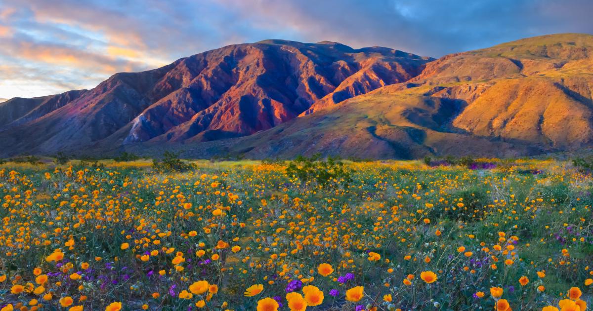 California commits to preservation of 30 percent of state's land and