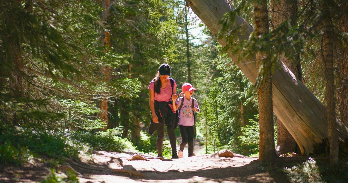 Sports to Play in a Forest  : Thrilling Adventures amidst Nature