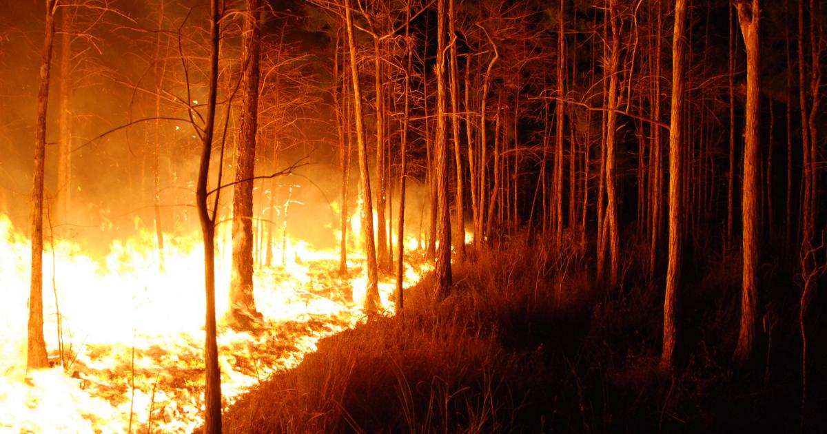3 reasons wildfires are getting more dangerous—and 3 ways to make