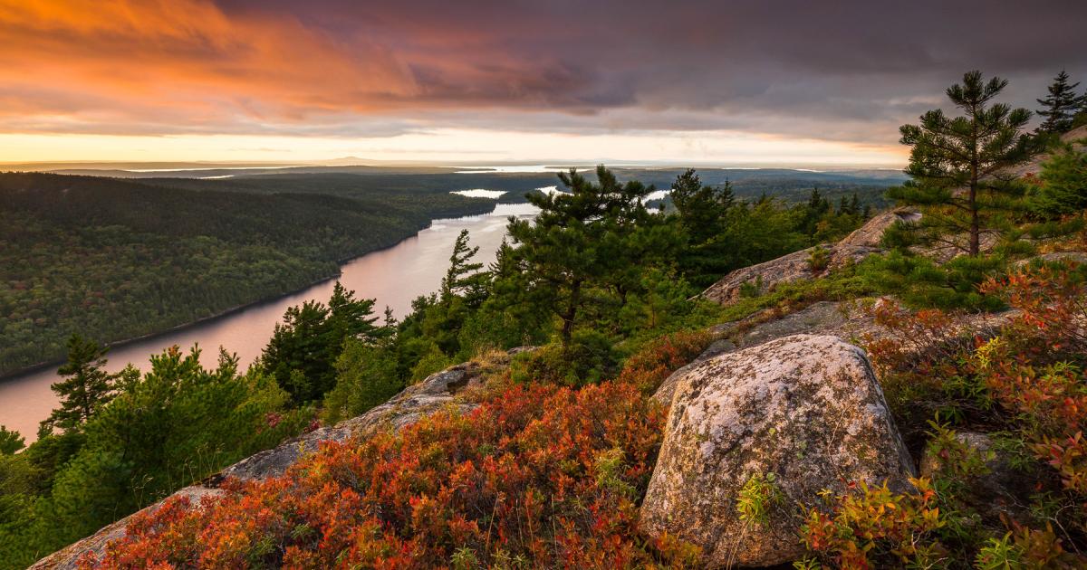 wilderness maine society wild