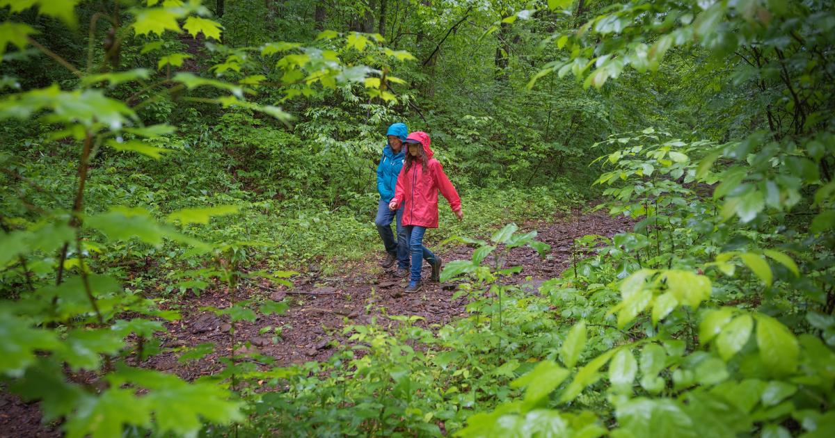 Tips For Nature Walking The Wilderness Society