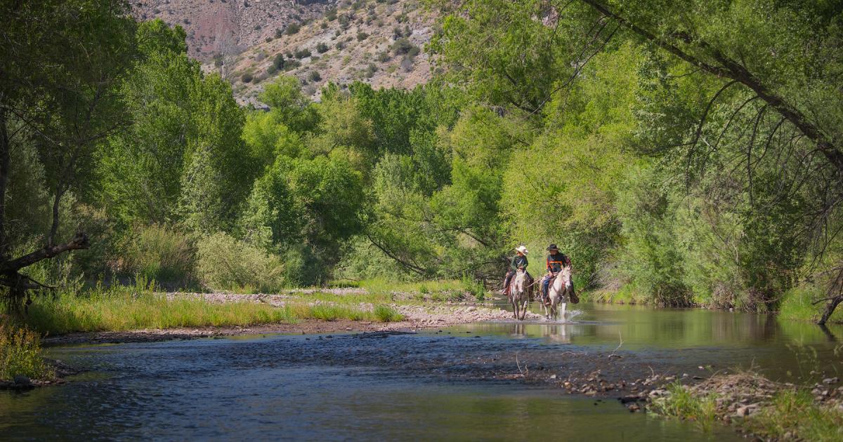 New plan for the Gila Forest could leave wildlife and the waterways and  wilderness they rely on without needed protections | The Wilderness Society