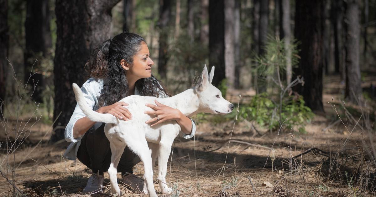 Are Dogs Allowed In Wilderness Areas