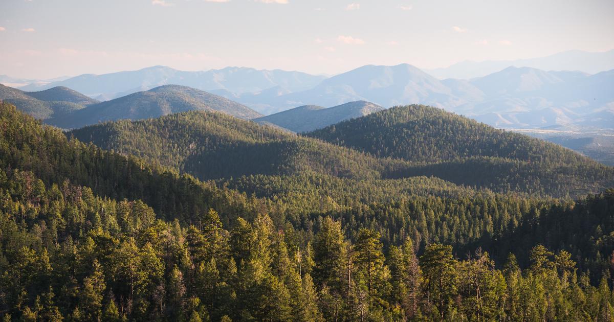 Conservation Wilderness in New Mexico The Wilderness Society