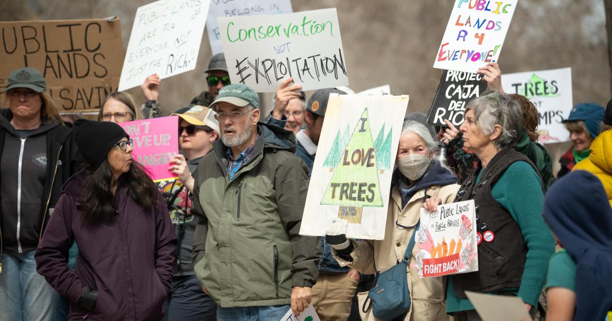 Conservation wins and good news you may have missed in 2025 | The ...
