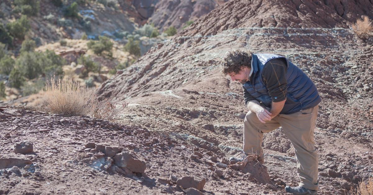 latest paleontology discoveries