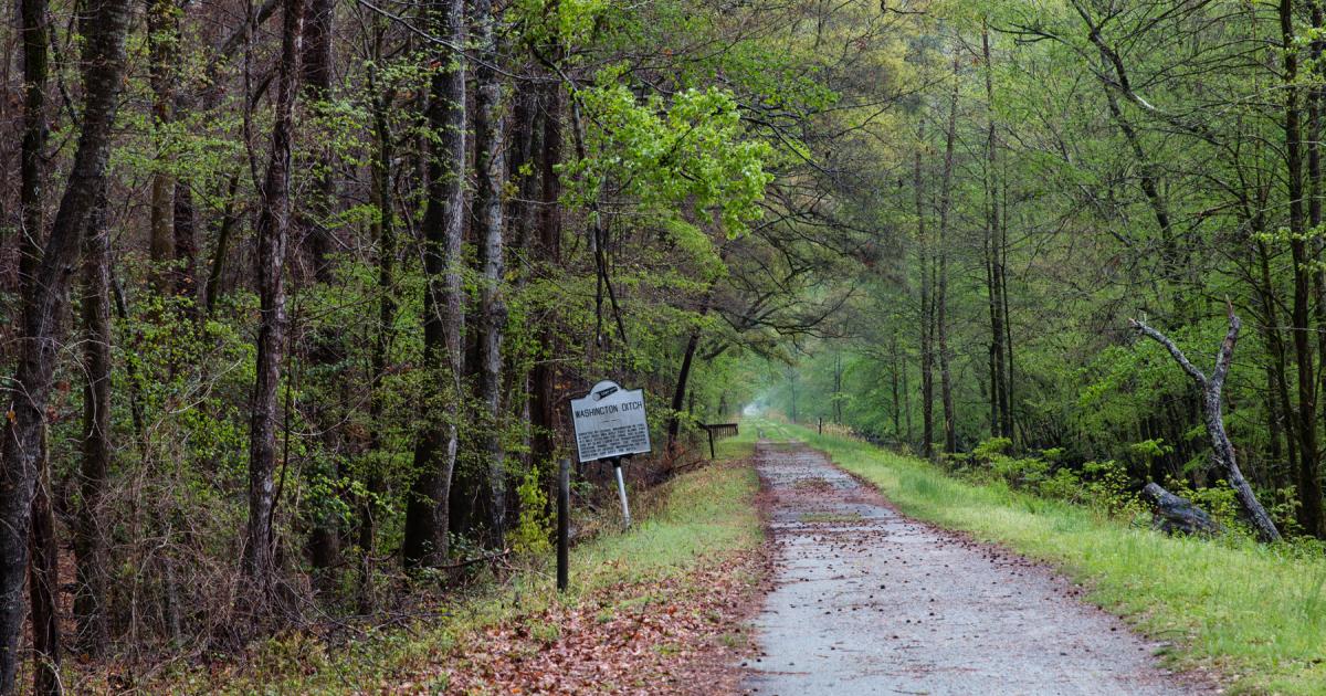 Great Dismal Swamp an irreplaceable hub of Black and Indigenous history - The Wilderness Society
