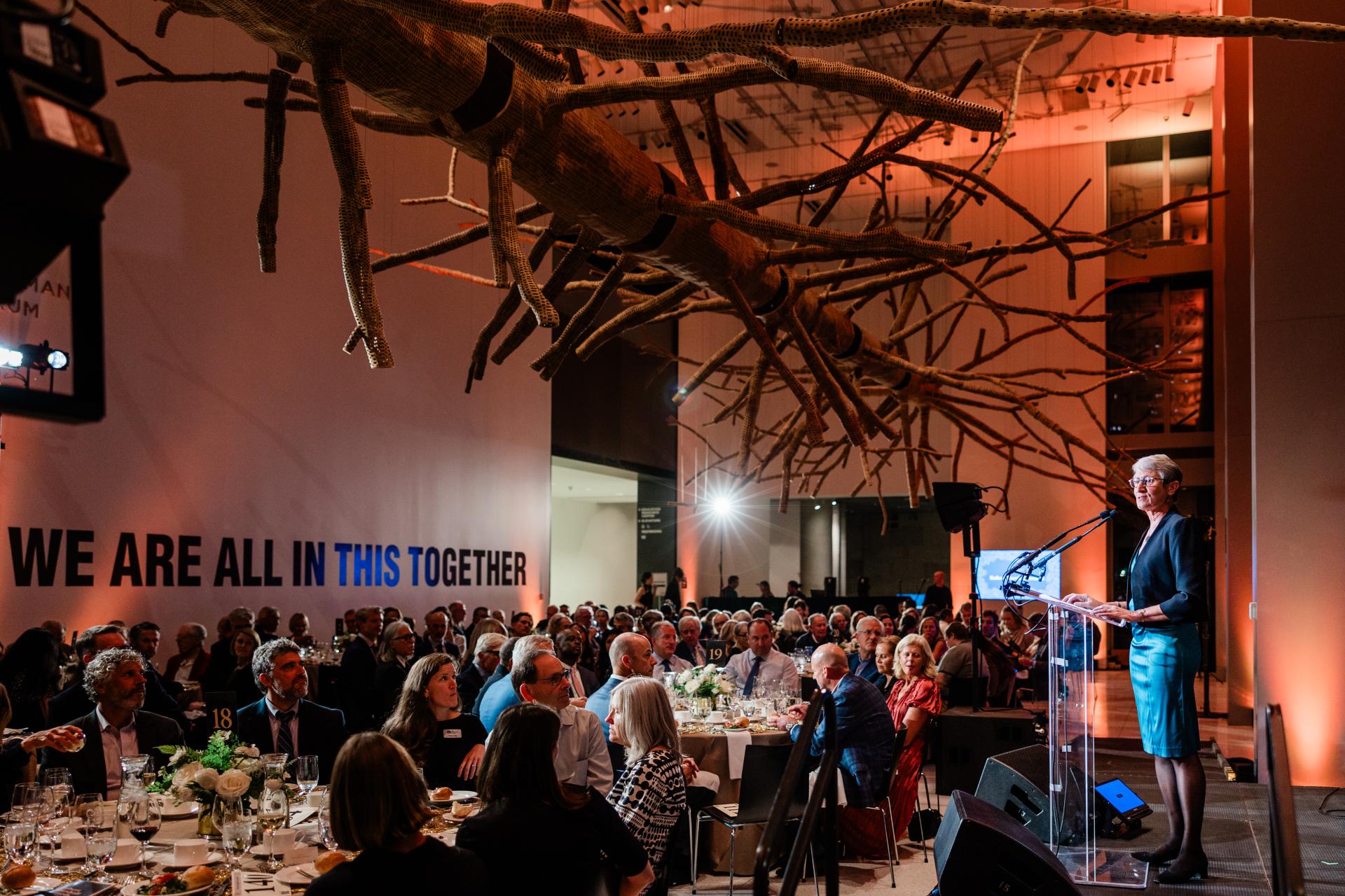 person giving remarks to a crowd during a formal dinner 