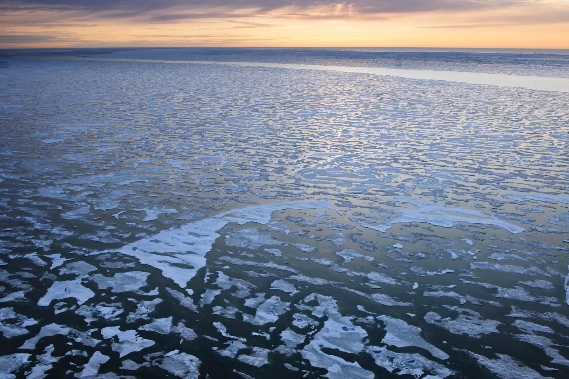 Ice floating on the Beaufort Sea, on the edge of the Arctic Ocean, Alaska