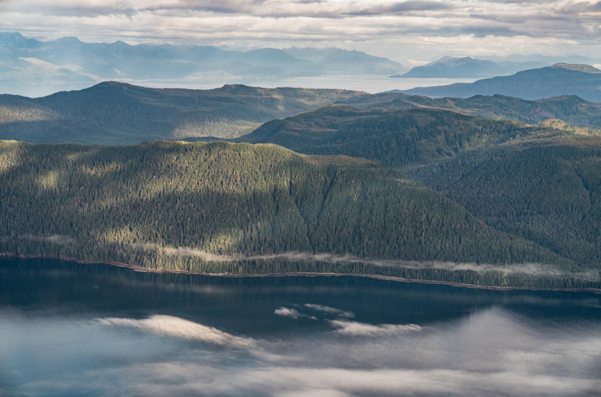 Aerial view of coastline abutted by heavy tree growth. More water and other land masses visible in distance, all beneath cloudy sky 